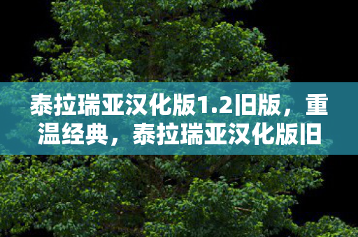 泰拉瑞亚汉化版1.2旧版，重温经典，泰拉瑞亚汉化版旧版本回顾