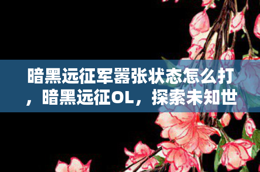 暗黑远征军嚣张状态怎么打，暗黑远征OL，探索未知世界的奇幻之旅