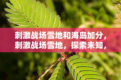 刺激战场雪地和海岛加分,刺激战场雪地,探索未知,挑战极限 刺激战场雪地和海岛加分,刺激战场雪地,探索未知,挑战极限