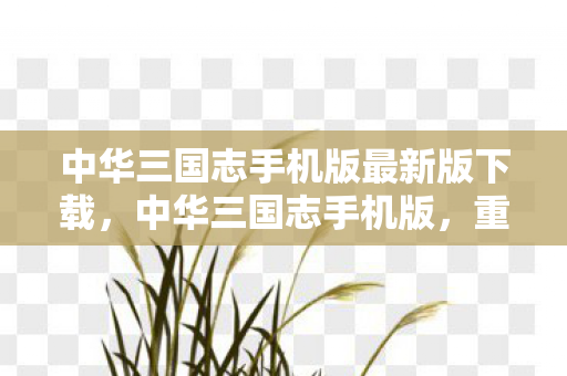 中华三国志手机版最新版下载，中华三国志手机版，重塑经典，掌中三国