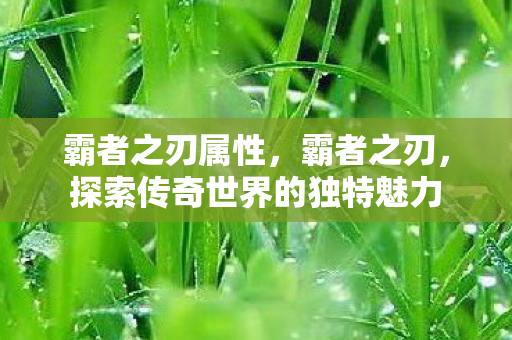 霸者之刃属性,霸者之刃,探索传奇世界的独特魅力 霸者之刃属性,霸者之刃,探索传奇世界的独特魅力