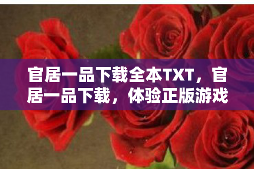 官居一品下载全本TXT，官居一品下载，体验正版游戏的魅力
