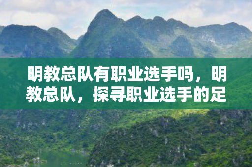 明教总队有职业选手吗,明教总队,探寻职业选手的足迹 明教总队有职业选手吗,明教总队,探寻职业选手的足迹