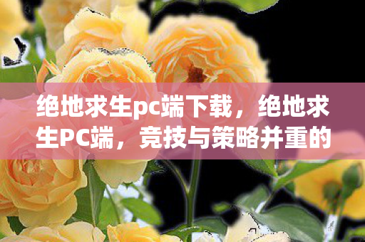 绝地求生pc端下载，绝地求生PC端，竞技与策略并重的生存挑战