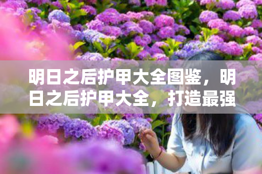 明日之后护甲大全图鉴,明日之后护甲大全,打造最强防御的终极指南 明日之后护甲大全图鉴,明日之后护甲大全,打造最强防御的终极指南