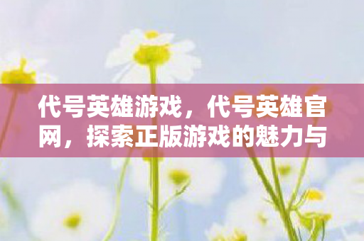 代号英雄游戏,代号英雄官网,探索正版游戏的魅力与优势 代号英雄游戏,代号英雄官网,探索正版游戏的魅力与优势