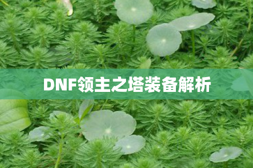 DNF领主之塔装备解析