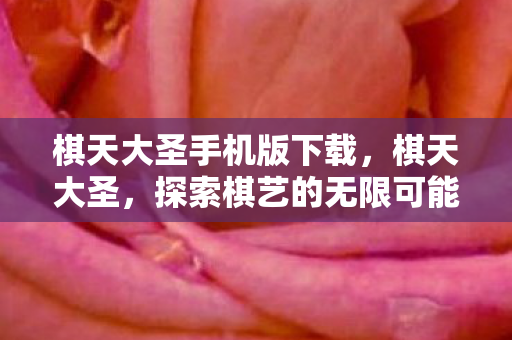 棋天大圣手机版下载，棋天大圣，探索棋艺的无限可能