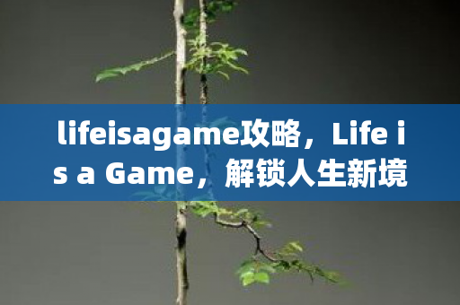 lifeisagame攻略,Life is a Game,解锁人生新境界的攻略 lifeisagame攻略,Life is a Game,解锁人生新境界的攻略
