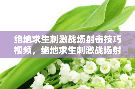 绝地求生刺激战场射击技巧视频，绝地求生刺激战场射击技巧