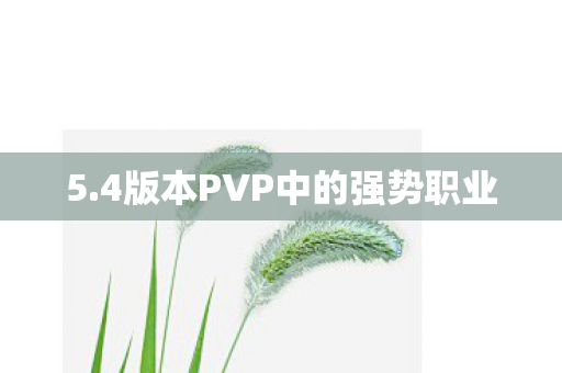 5.4版本PVP中的强势职业
