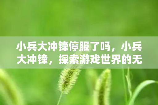 小兵大冲锋停服了吗，小兵大冲锋，探索游戏世界的无限可能