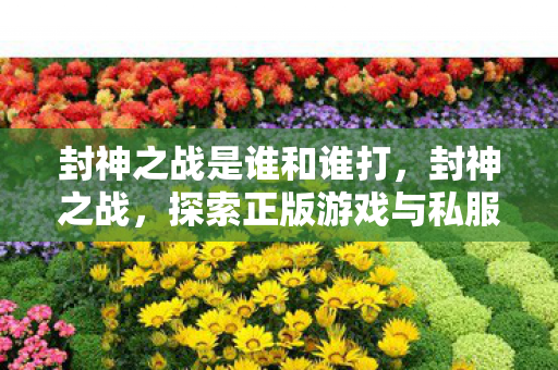 封神之战是谁和谁打，封神之战，探索正版游戏与私服之间的界限