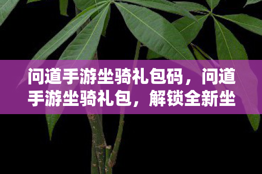 问道手游坐骑礼包码，问道手游坐骑礼包，解锁全新坐骑，畅游仙界