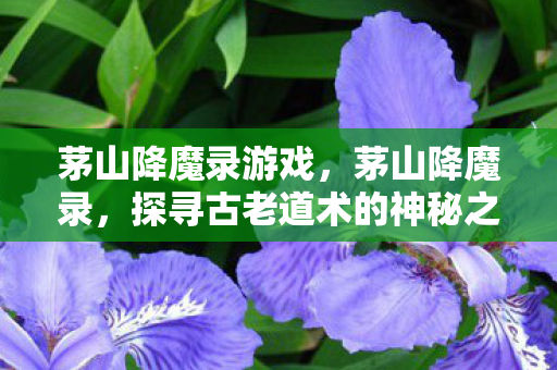 茅山降魔录游戏，茅山降魔录，探寻古老道术的神秘之旅