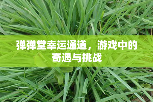 弹弹堂幸运通道，游戏中的奇遇与挑战