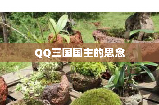 QQ三国国主的思念