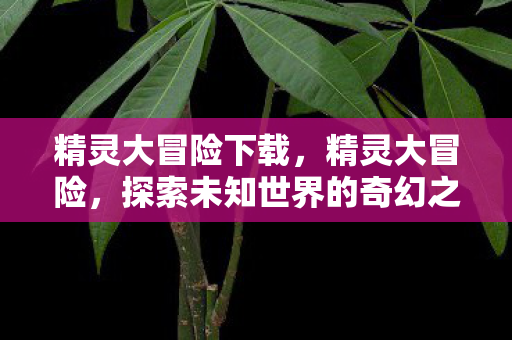 精灵大冒险下载，精灵大冒险，探索未知世界的奇幻之旅