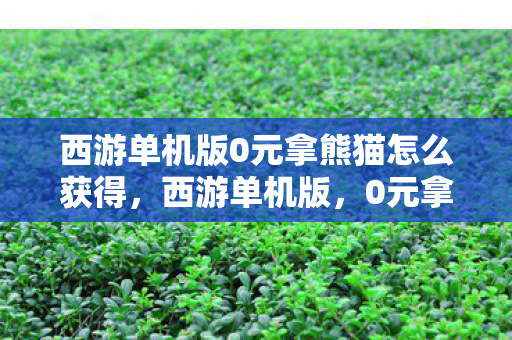 西游单机版0元拿熊猫怎么获得,西游单机版,0元拿熊猫,解锁全新游戏体验 西游单机版0元拿熊猫怎么获得,西游单机版,0元拿熊猫,解锁全新游戏体验