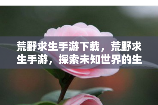 荒野求生手游下载,荒野求生手游,探索未知世界的生存挑战 荒野求生手游下载,荒野求生手游,探索未知世界的生存挑战