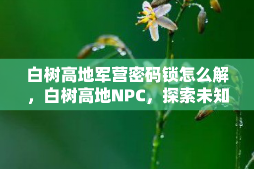 白树高地军营密码锁怎么解,白树高地NPC,探索未知世界的神秘向导 白树高地军营密码锁怎么解,白树高地NPC,探索未知世界的神秘向导
