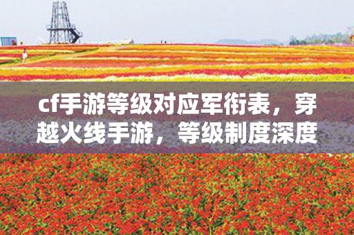 cf手游等级对应军衔表，穿越火线手游，等级制度深度解析