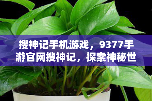 搜神记手机游戏,9377手游官网搜神记,探索神秘世界的奇妙之旅 搜神记手机游戏,9377手游官网搜神记,探索神秘世界的奇妙之旅