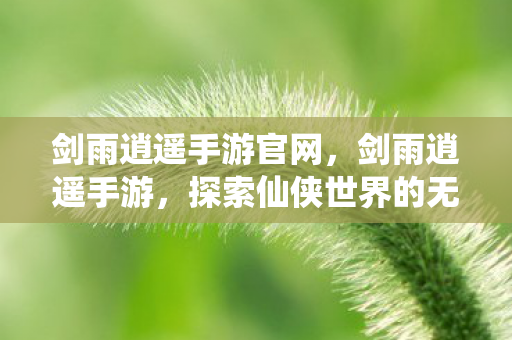 剑雨逍遥手游官网,剑雨逍遥手游,探索仙侠世界的无尽魅力 剑雨逍遥手游官网,剑雨逍遥手游,探索仙侠世界的无尽魅力