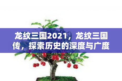 龙纹三国2021,龙纹三国传,探索历史的深度与广度 龙纹三国2021,龙纹三国传,探索历史的深度与广度