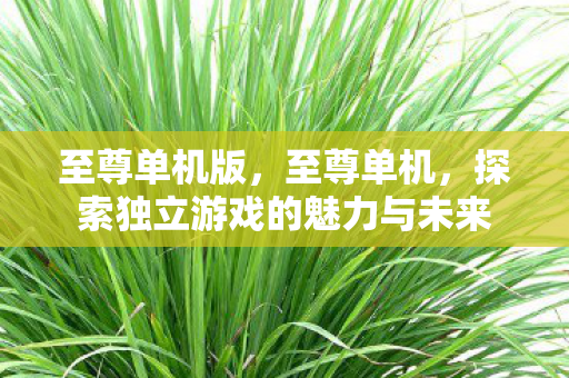至尊单机版,至尊单机,探索独立游戏的魅力与未来 至尊单机版,至尊单机,探索独立游戏的魅力与未来