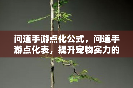 问道手游点化公式，问道手游点化表，提升宠物实力的关键指南