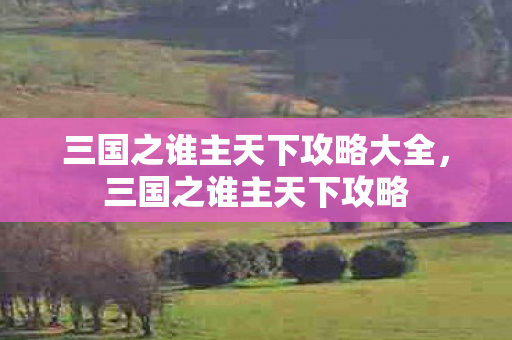 三国之谁主天下攻略大全,三国之谁主天下攻略 三国之谁主天下攻略大全,三国之谁主天下攻略