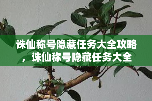 诛仙称号隐藏任务大全攻略，诛仙称号隐藏任务大全