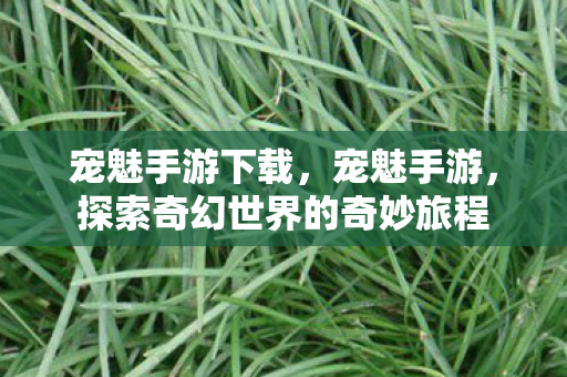 宠魅手游下载,宠魅手游,探索奇幻世界的奇妙旅程 宠魅手游下载,宠魅手游,探索奇幻世界的奇妙旅程