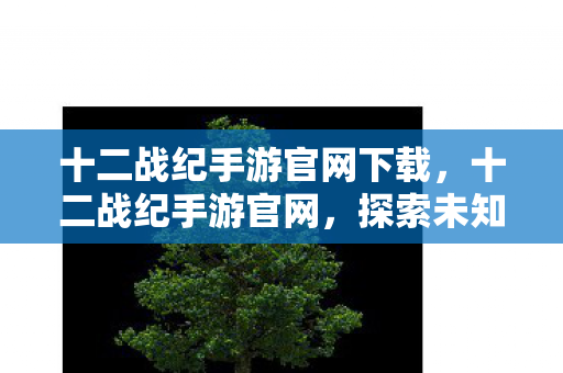十二战纪手游官网下载，十二战纪手游官网，探索未知世界的奇幻之旅