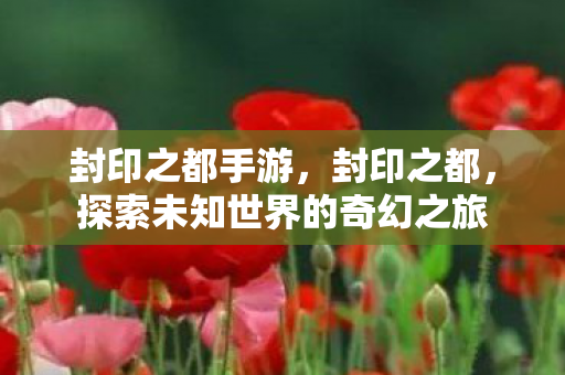 封印之都手游，封印之都，探索未知世界的奇幻之旅