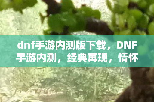 dnf手游内测版下载，DNF手游内测，经典再现，情怀与创新的碰撞