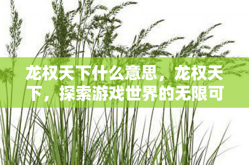 龙权天下什么意思，龙权天下，探索游戏世界的无限可能