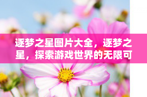 逐梦之星图片大全，逐梦之星，探索游戏世界的无限可能
