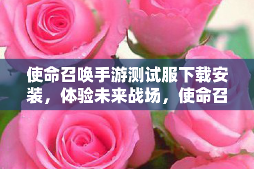 使命召唤手游测试服下载安装，体验未来战场，使命召唤手游测试服下载指南