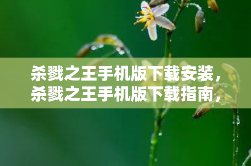 杀戮之王手机版下载安装，杀戮之王手机版下载指南，畅享指尖上的冒险之旅