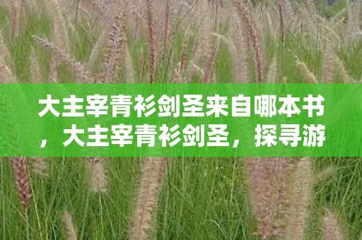 大主宰青衫剑圣来自哪本书，大主宰青衫剑圣，探寻游戏世界的剑道传奇