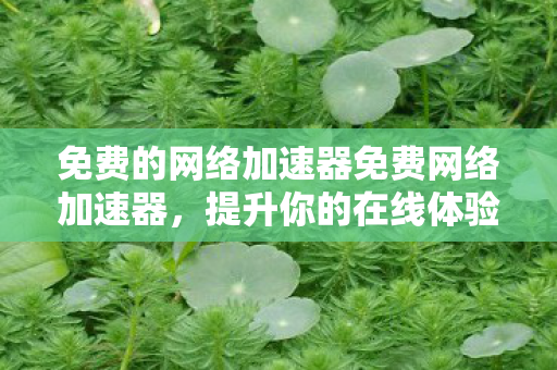 免费的网络加速器免费网络加速器，提升你的在线体验