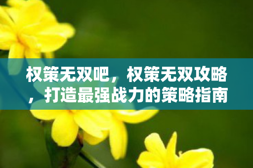 权策无双吧,权策无双攻略,打造最强战力的策略指南 权策无双吧,权策无双攻略,打造最强战力的策略指南