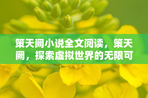 策天阙小说全文阅读，策天阙，探索虚拟世界的无限可能