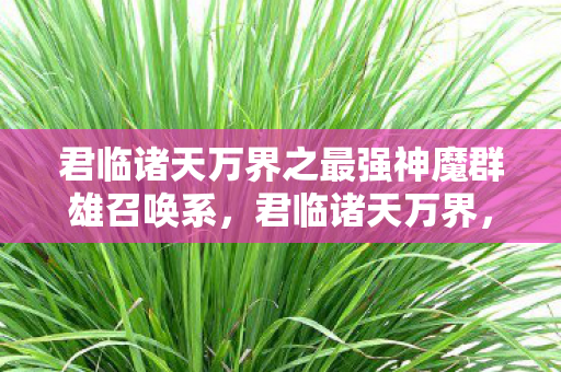 君临诸天万界之最强神魔群雄召唤系，君临诸天万界，探索虚拟世界的无限可能