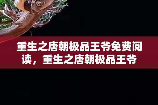 重生之唐朝极品王爷免费阅读，重生之唐朝极品王爷