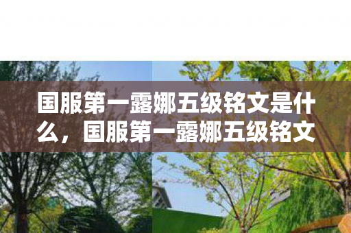 国服第一露娜五级铭文是什么，国服第一露娜五级铭文，解锁顶尖操作，成就王者之路