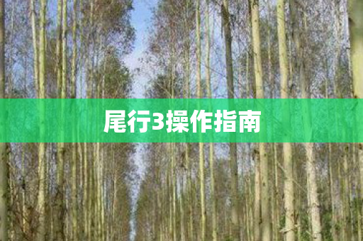 尾行3操作指南