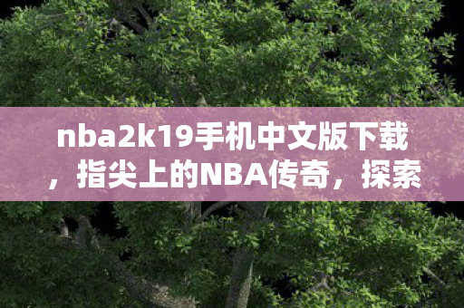 nba2k19手机中文版下载,指尖上的NBA传奇,探索NBA 2K19手机版的无限可能 nba2k19手机中文版下载,指尖上的NBA传奇,探索NBA 2K19手机版的无限可能